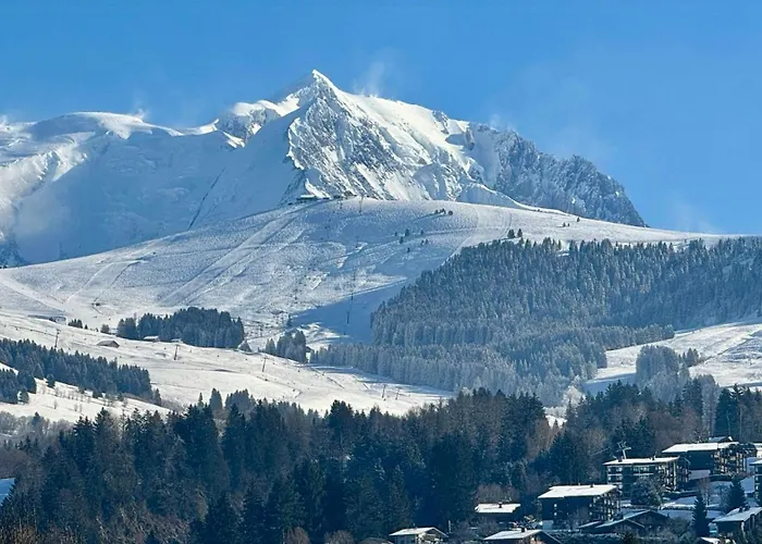 Luxury Penthouse With Mont Blanc Views In *
